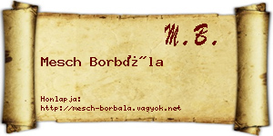 Mesch Borbála névjegykártya
